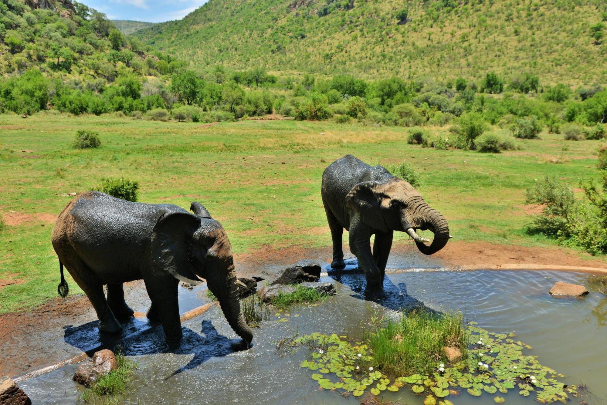 Kwa Maritane Lodge Ledig Exterior foto