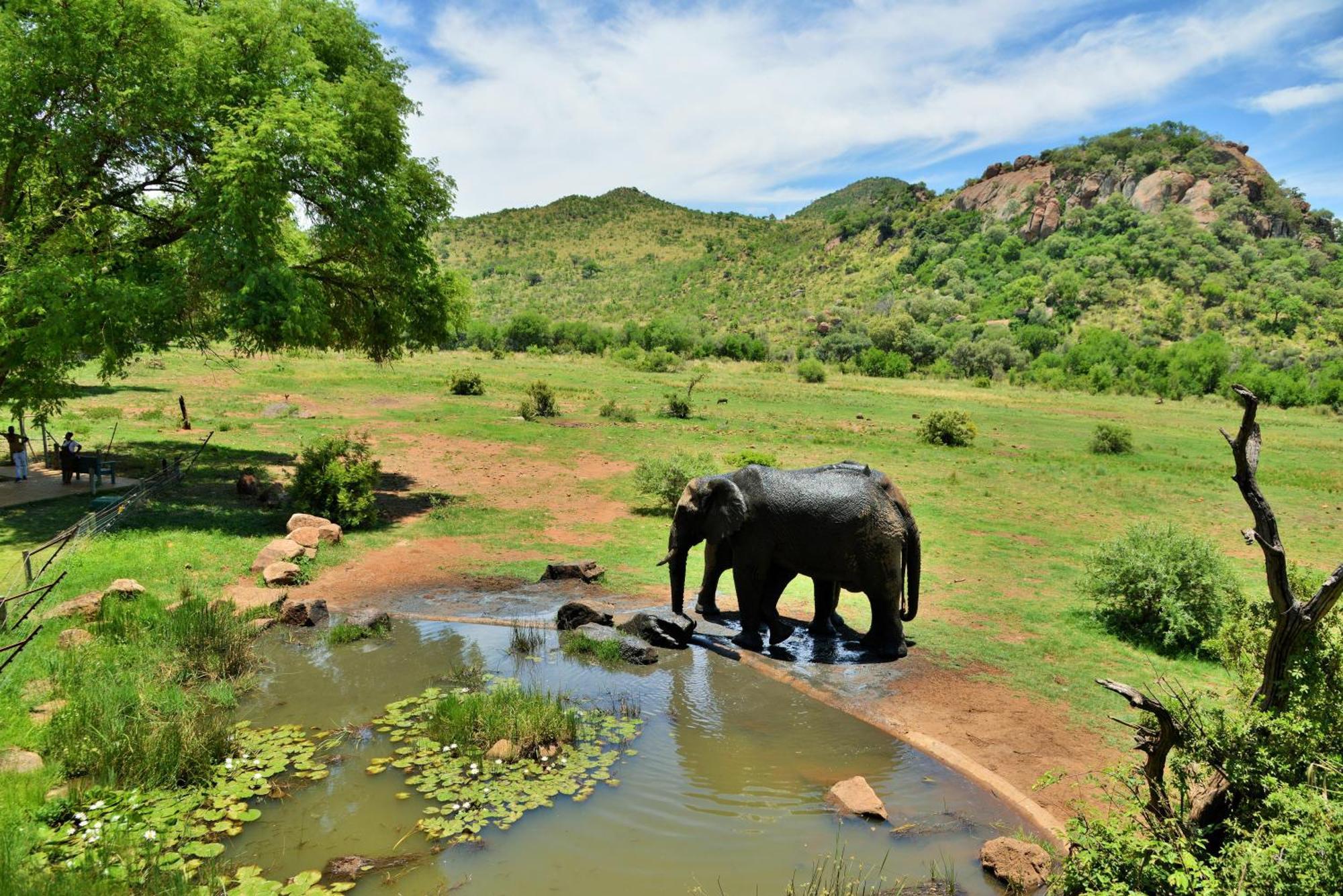 Kwa Maritane Lodge Ledig Exterior foto