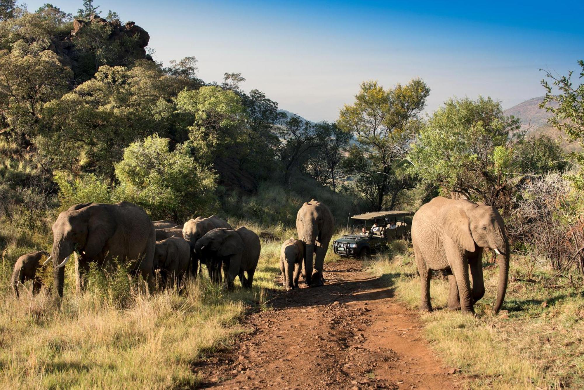 Kwa Maritane Lodge Ledig Exterior foto